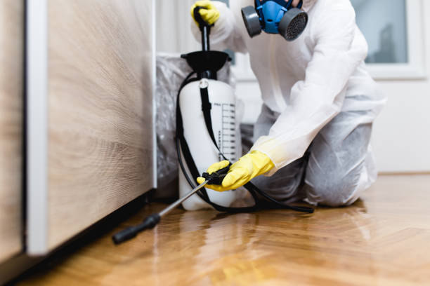 Pest Prevention Services in Vestavia Hills, AL