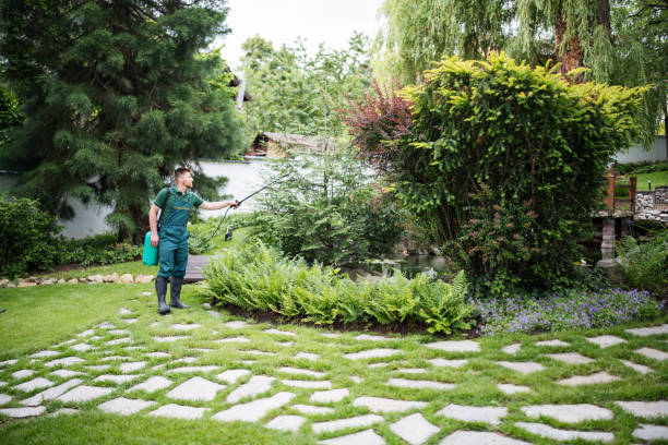 Best Pest Inspection Near Me  in Vestavia Hills, AL