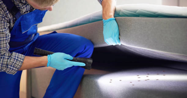 Best Pest Inspection Near Me  in Vestavia Hills, AL