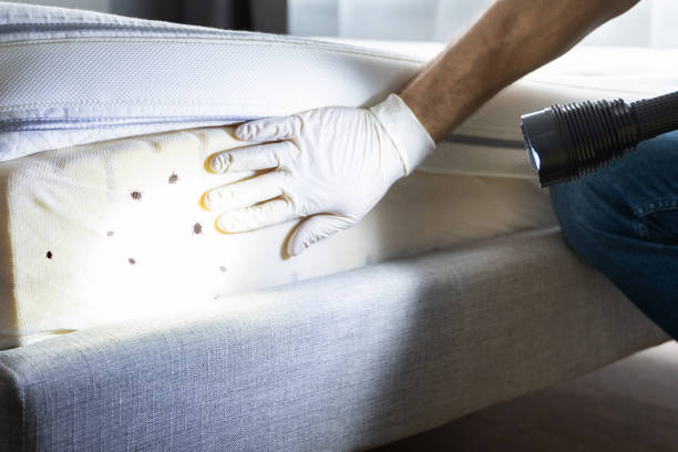 Best Commercial Pest Control Services  in Vestavia Hills, AL