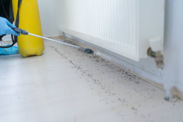 Best Residential Pest Control  in Vestavia Hills, AL