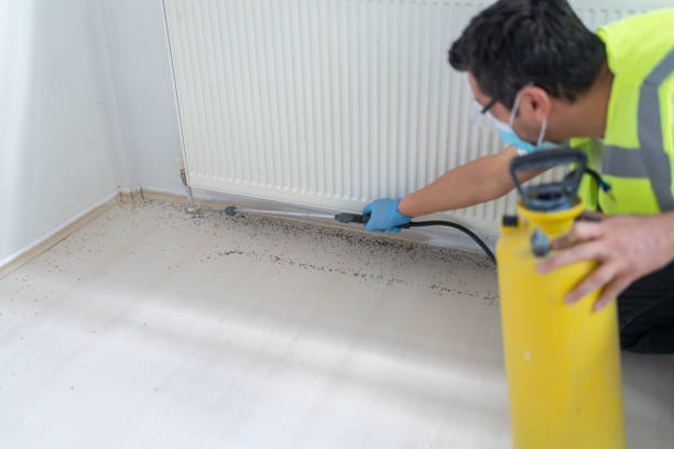 Best Pest Inspection Near Me  in Vestavia Hills, AL